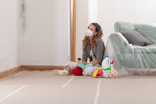 Reliable Basement Mold Remediation contractor in Lebanon, PA by WQB Mold Removal